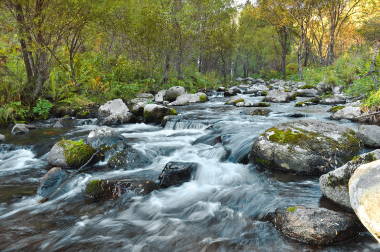 Feel the Flow with Feelings